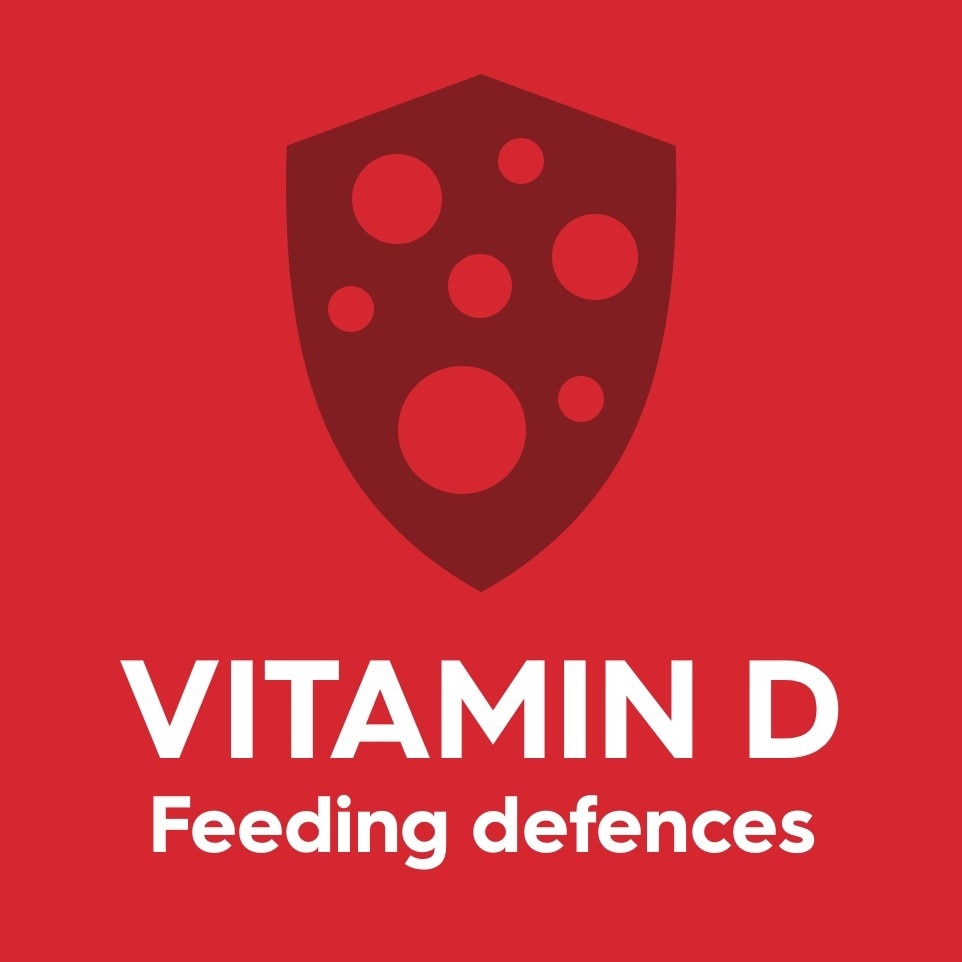 Vitamin D
